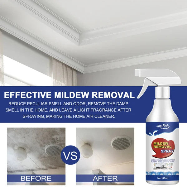 Highly Effective Mould Removal Spray - Prevents Mould RegrowthðŸ¦