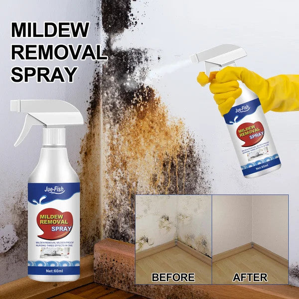 Highly Effective Mould Removal Spray - Prevents Mould RegrowthðŸ¦