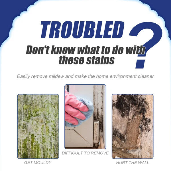 Highly Effective Mould Removal Spray - Prevents Mould RegrowthðŸ¦