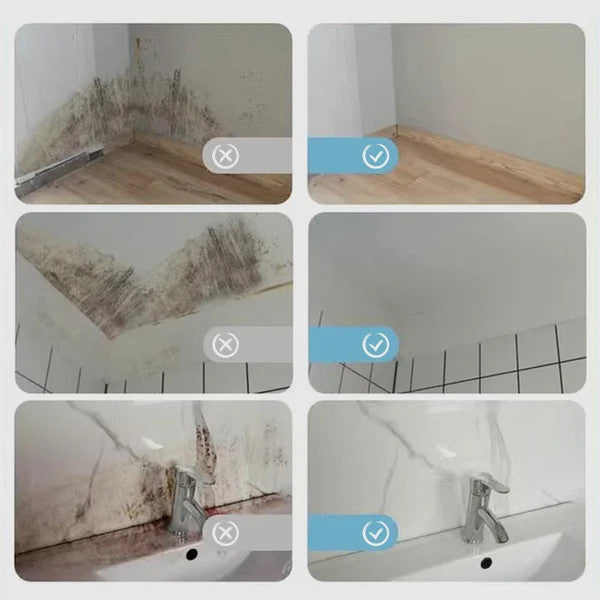 Highly Effective Mould Removal Spray - Prevents Mould RegrowthðŸ¦