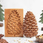 (🎁Early Christmas Sale- 49% OFF🎁)Wood Patterned Cookie Cutter - Embossing Mold For Cookies
