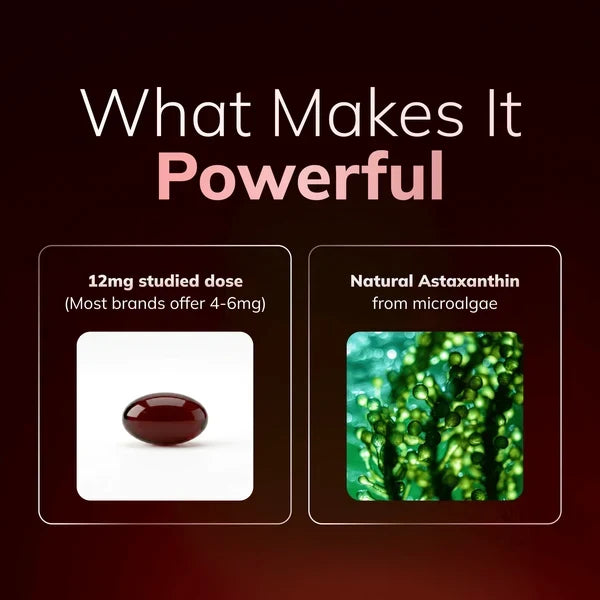 Dovelle Astaxanthin - Nature’s Most Powerful Antioxidant for Whole Body Support & Cellular Protection